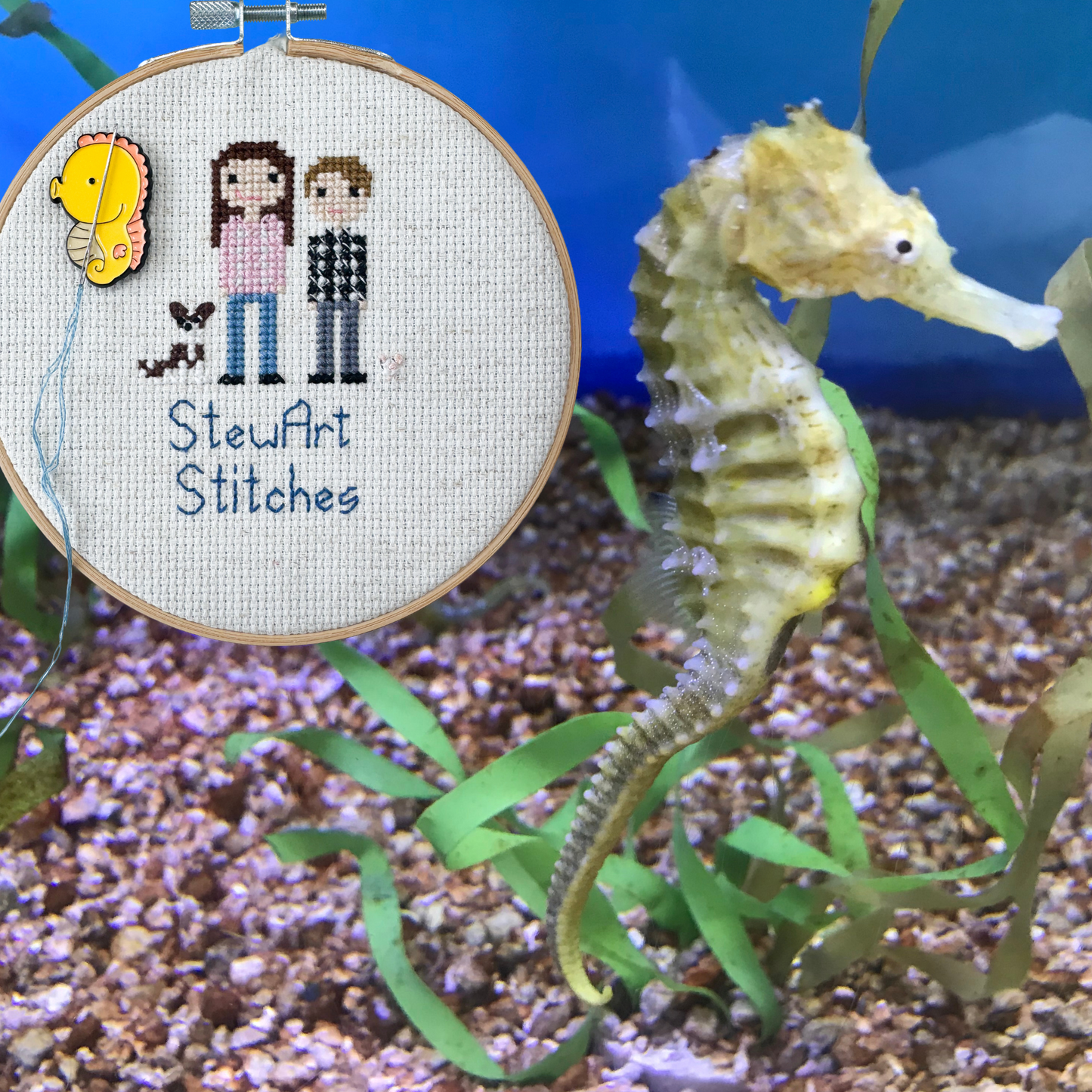 Seahorse Enamel Needle Minder