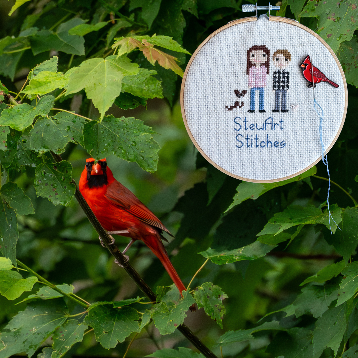 Cardinal needle minder holding a needle on a needlepoint canvas while stitching.