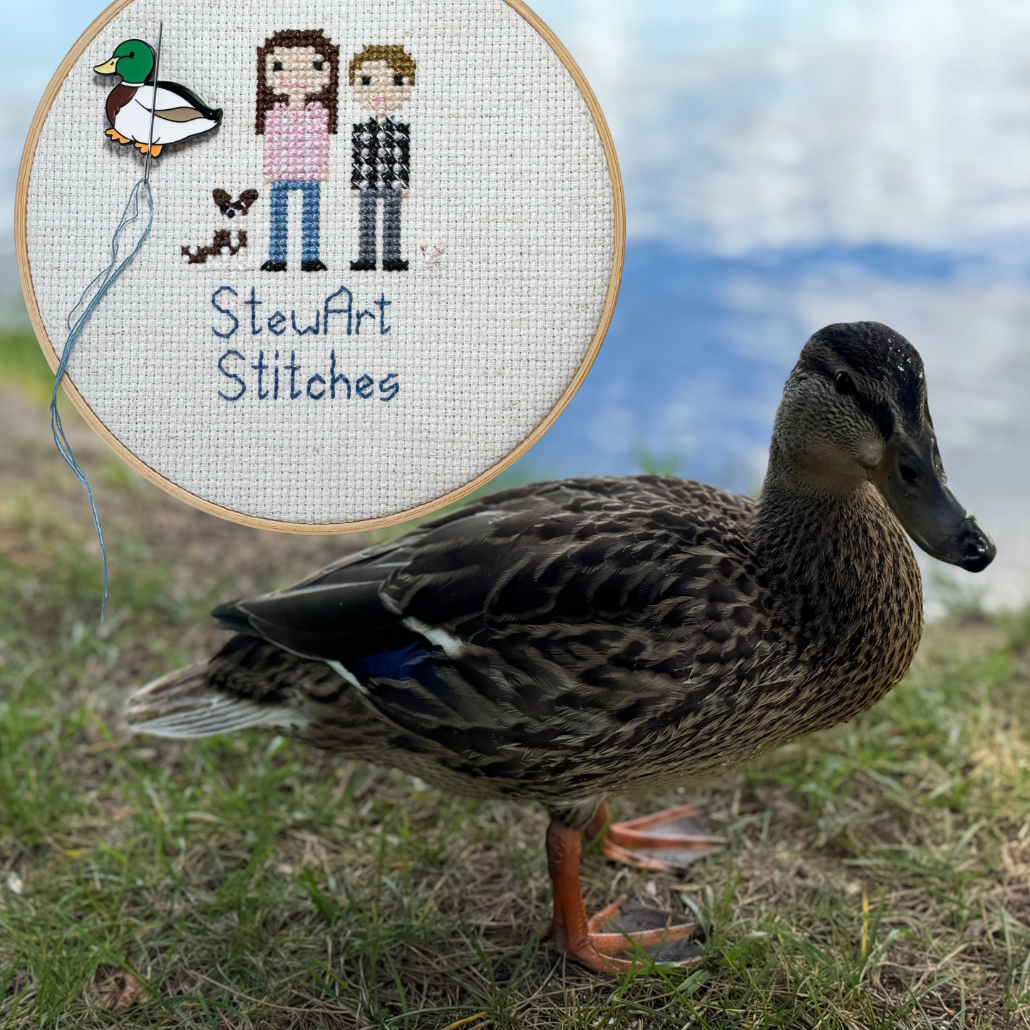 Mallard duck magnetic needle minder – coastal enamel accessory for cross stitch, embroidery, and needlepoint – beach bird stitching gift for ocean and seaside lovers.