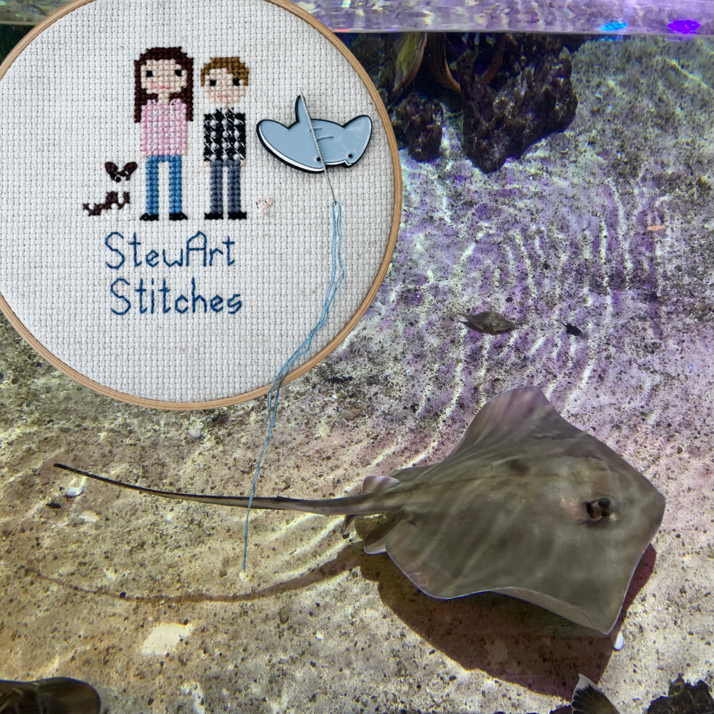Stingray Enamel Needle Minder