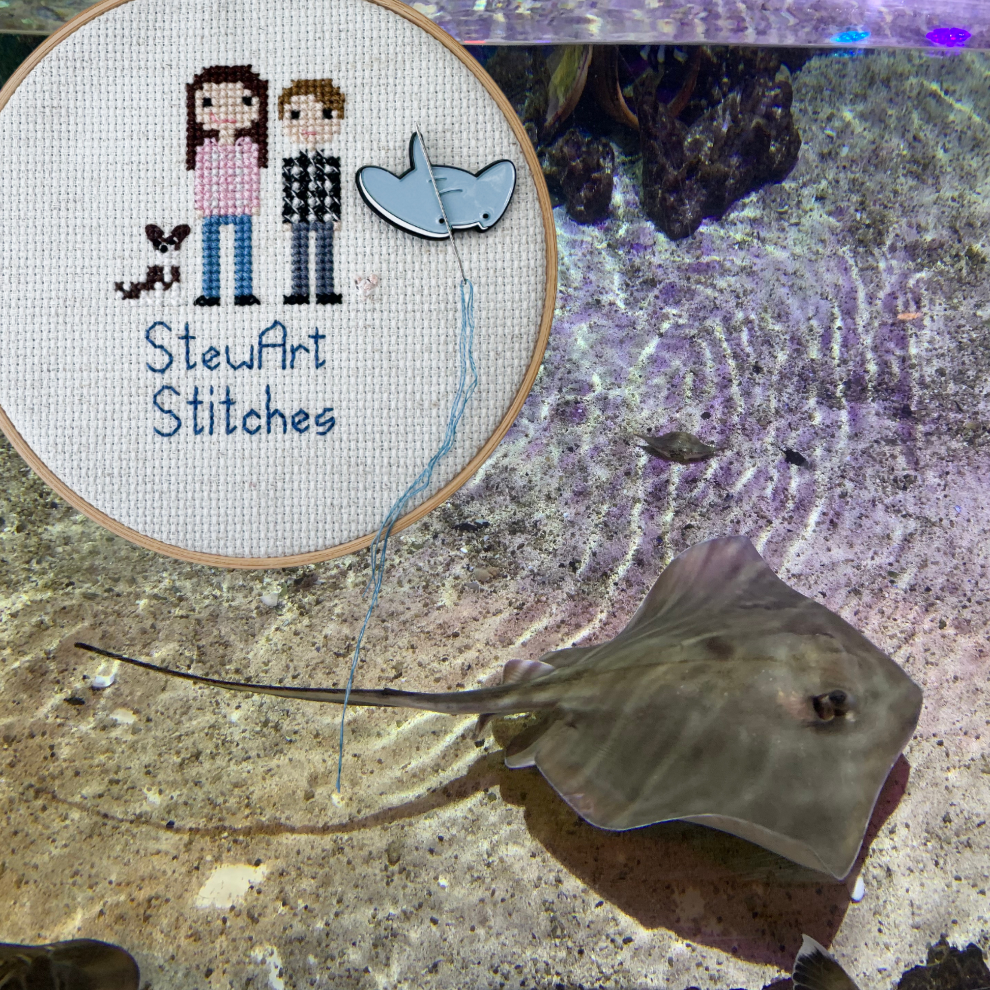 Stingray Enamel Needle Minder