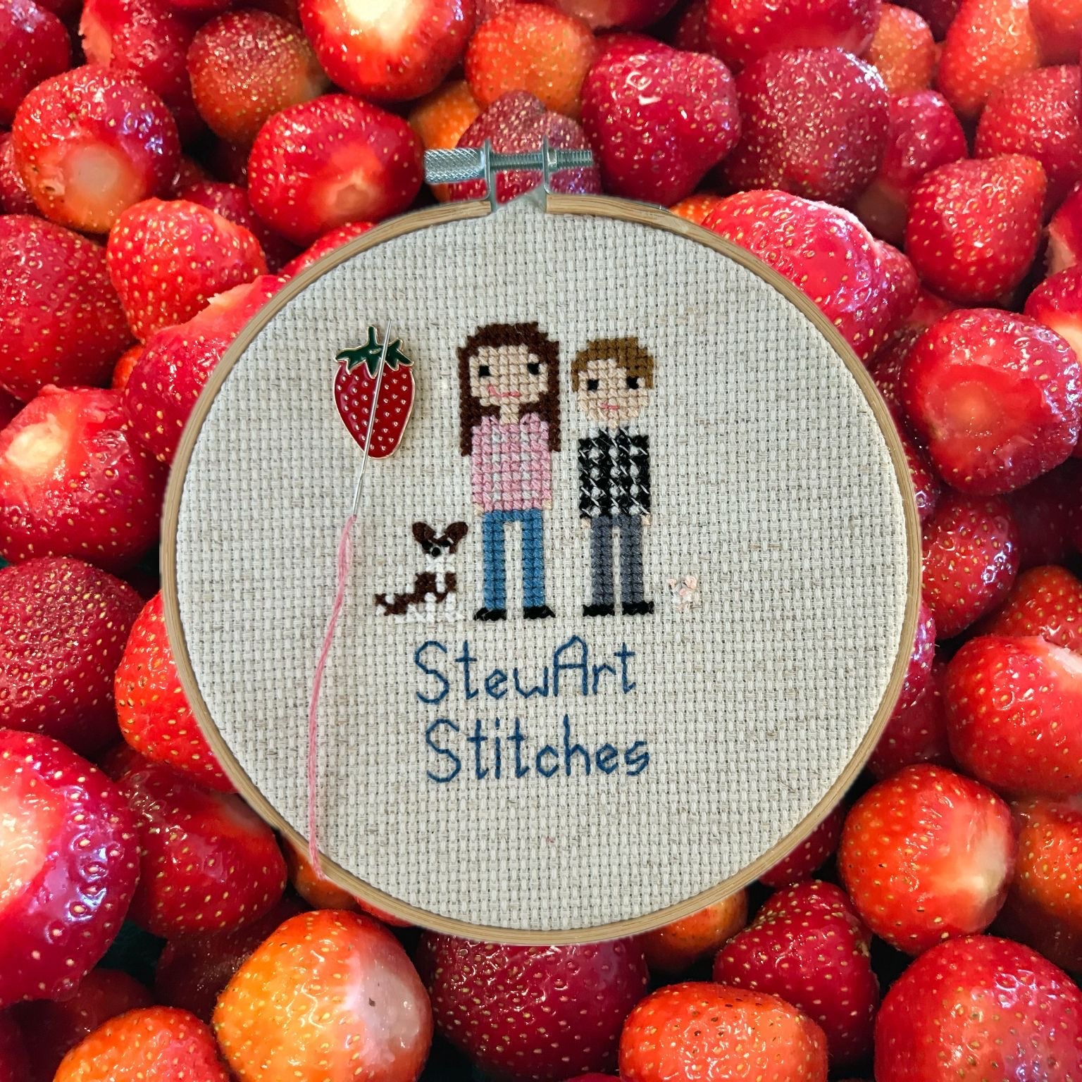  Strawberry Magnetic Enamel Needle Minder